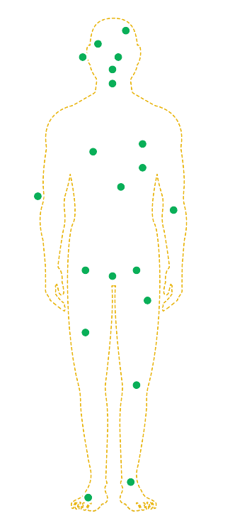 man-body